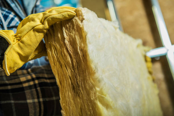 Best Insulation Installation Cost  in Camanche, IA