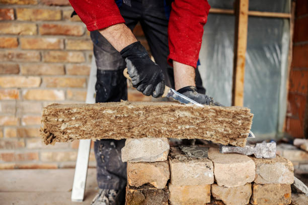 Best Blown-in Insulation  in Camanche, IA