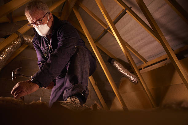 Best Insulation Contractors for Homes  in Camanche, IA